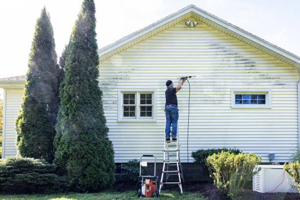 Best Soft Washing  in Wyomissing, PA